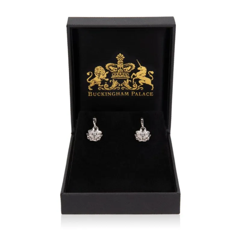 Hot Rose Drop Earrings Earrings