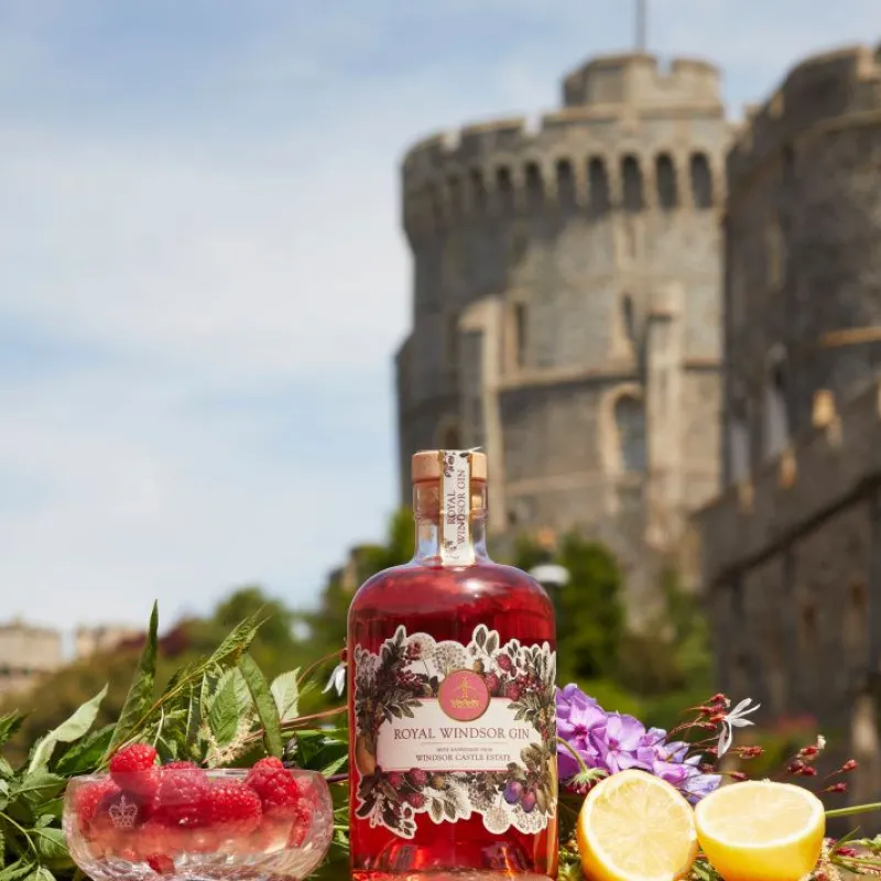 Best Royal Windsor Pink Gin Wine & Spirits